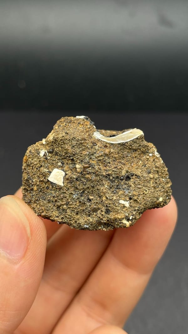Pale messelite seam in brown host rock from Qujing, Yunnan, China, second angle