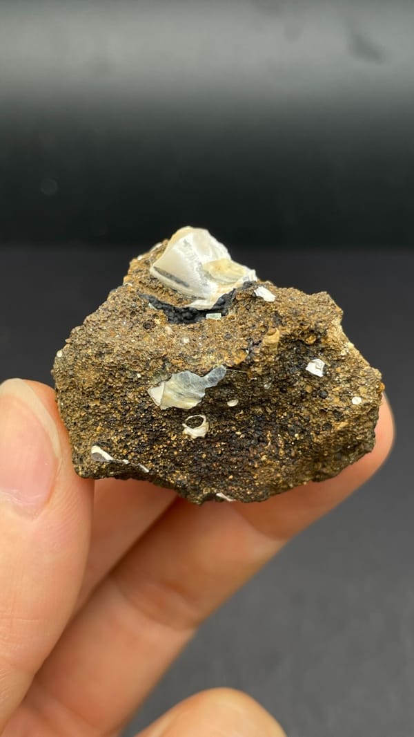 Pale messelite seam in brown host rock from Qujing, Yunnan, China, reverse side