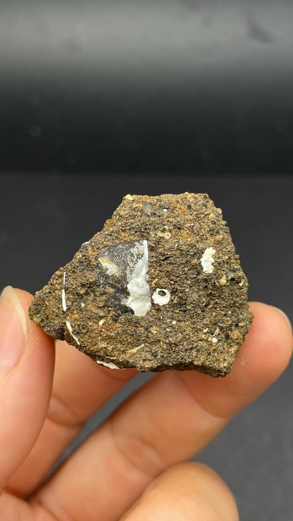 Pale messelite seam in brown host rock from Qujing, Yunnan, China, top view