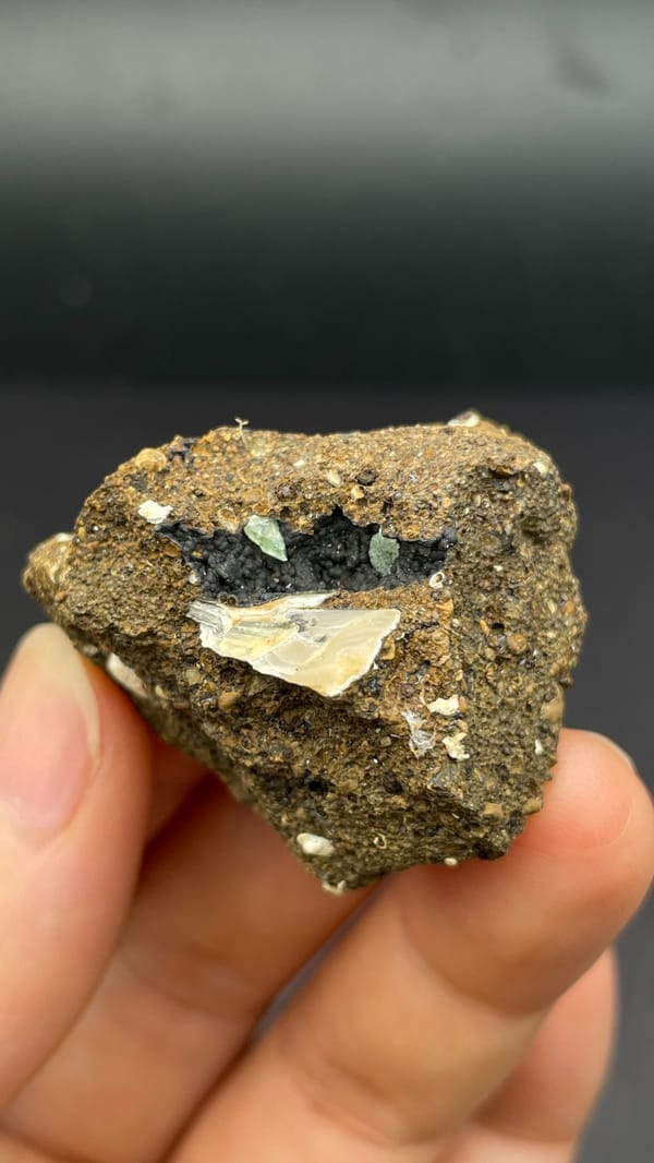 Pale messelite seam in brown host rock from Qujing, Yunnan, China, detail of the matrix contact