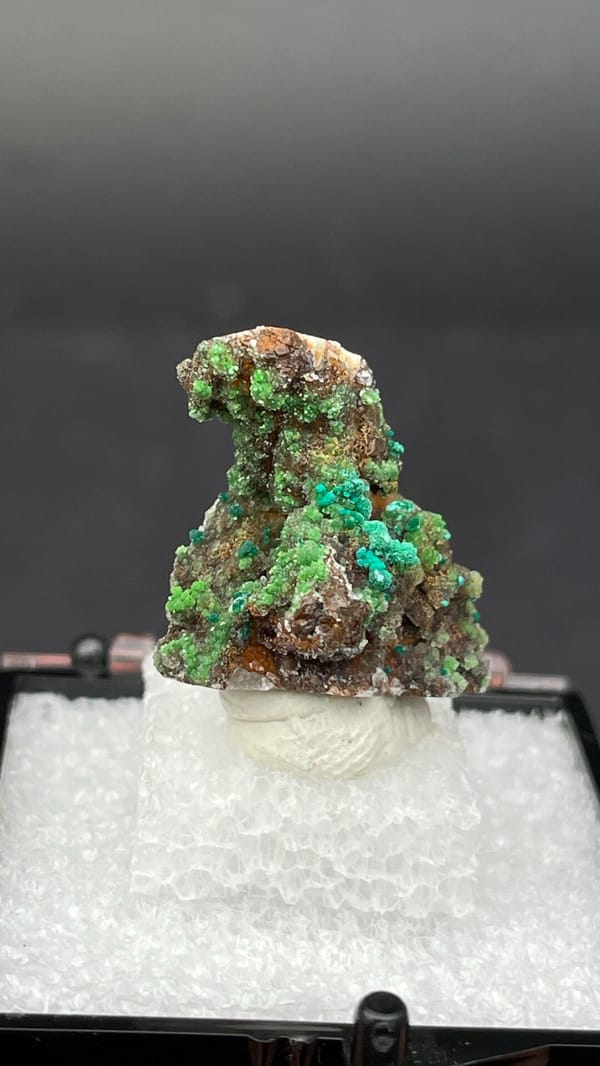 Green conichalcite tufts on a quartz base from Morocco, in a display box