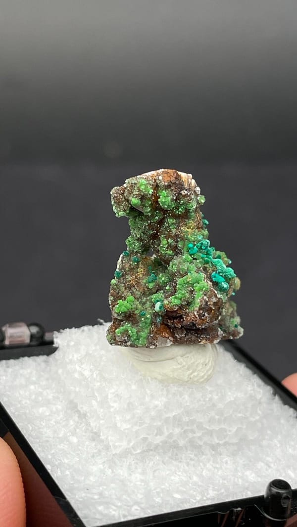Green conichalcite tufts on a quartz base from Morocco, in a display box, second angle