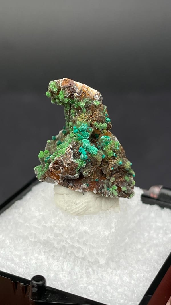 Green conichalcite tufts on a quartz base from Morocco, in a display box, close-up of the crystal faces