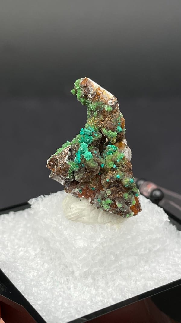 Green conichalcite tufts on a quartz base from Morocco, in a display box, reverse side