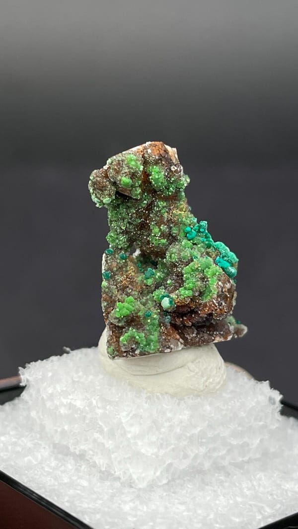 Green conichalcite tufts on a quartz base from Morocco, in a display box, top view