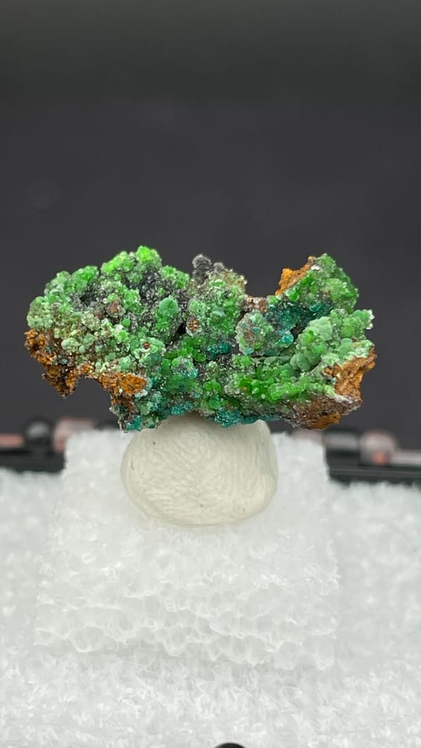 Bright green conichalcite balls on orange matrix from Morocco, in a display box, second angle