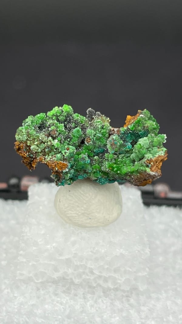 Bright green conichalcite balls on orange matrix from Morocco, in a display box, close-up of the crystal faces