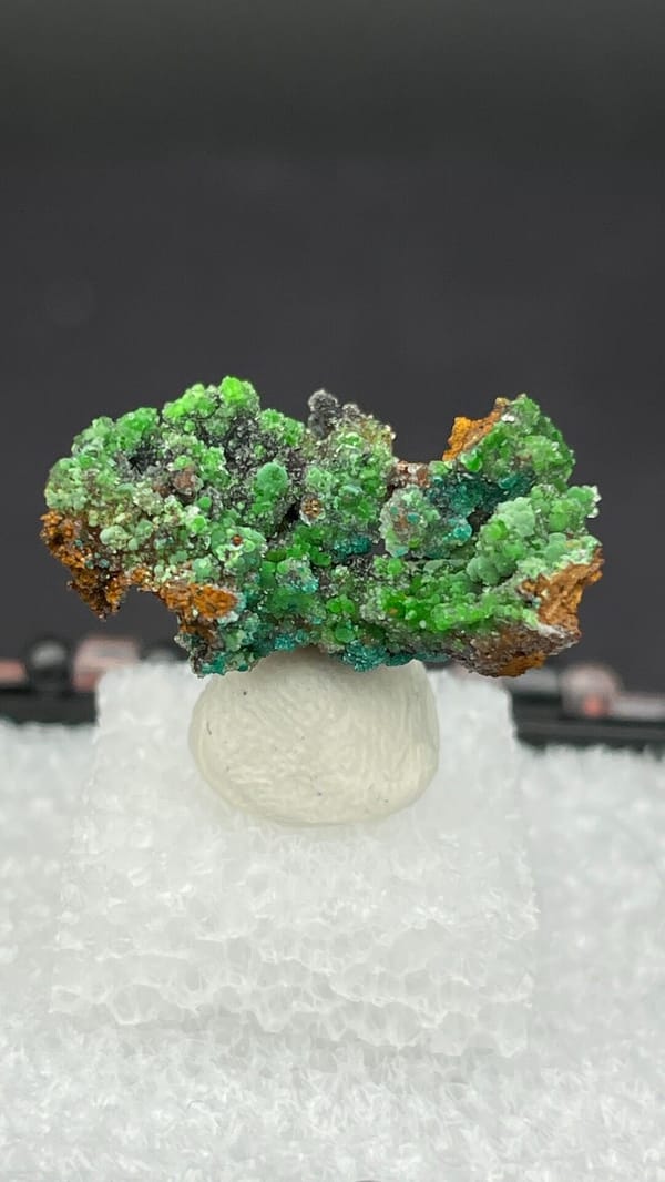 Bright green conichalcite balls on orange matrix from Morocco, in a display box, reverse side