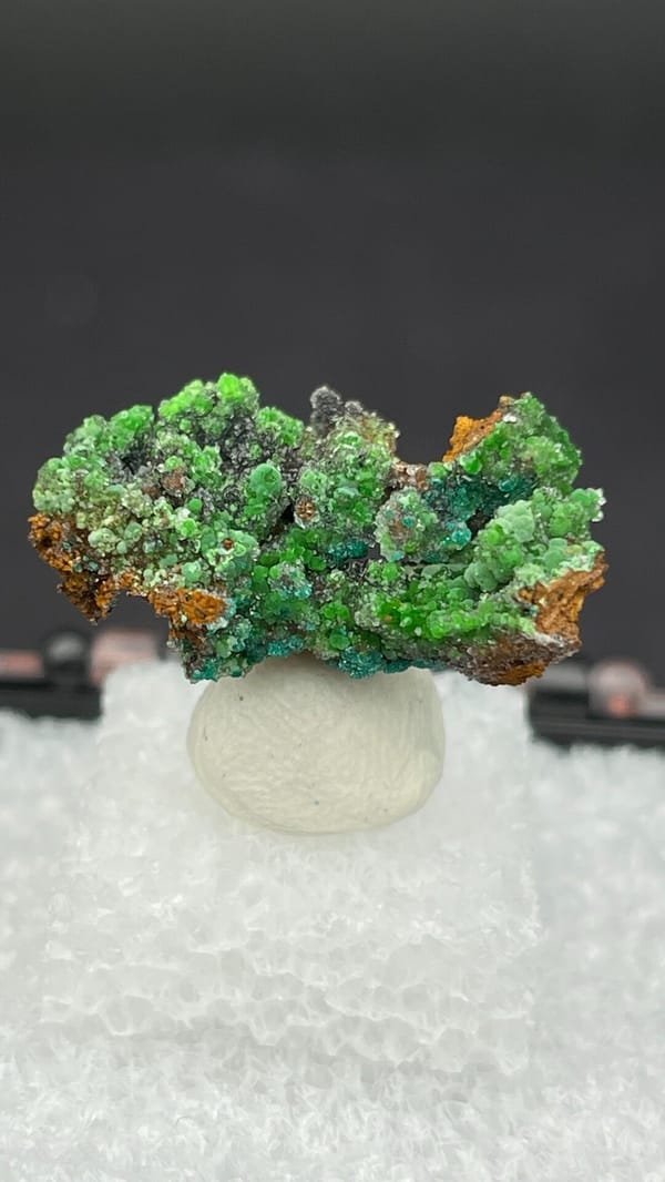 Bright green conichalcite balls on orange matrix from Morocco, in a display box, top view