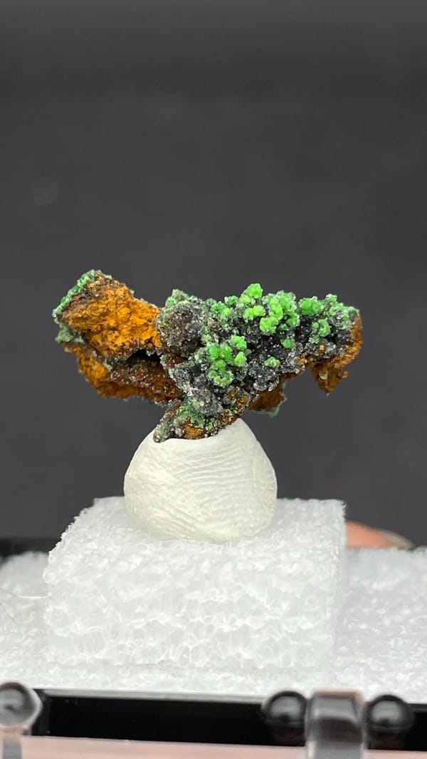 Bright green conichalcite balls on orange matrix from Morocco, in a display box, detail of the matrix contact