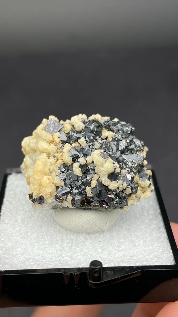 Metallic galena crystals in a cream dolomite crust from Bulgaria, in a box