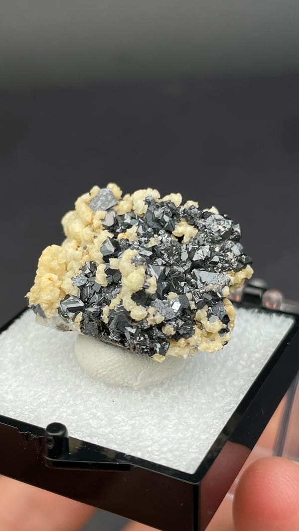 Metallic galena crystals in a cream dolomite crust from Bulgaria, in a box, close-up of the crystal faces