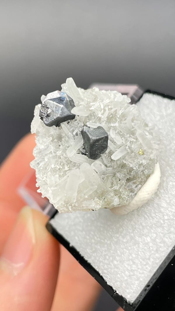 Steel-grey galena crystals with white quartz from Bulgaria, in a display box, second angle