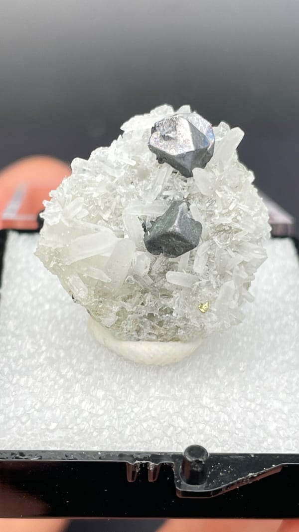 Steel-grey galena crystals with white quartz from Bulgaria, in a display box, close-up of the crystal faces