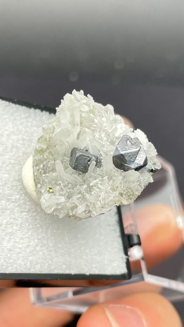 Steel-grey galena crystals with white quartz from Bulgaria, in a display box, reverse side