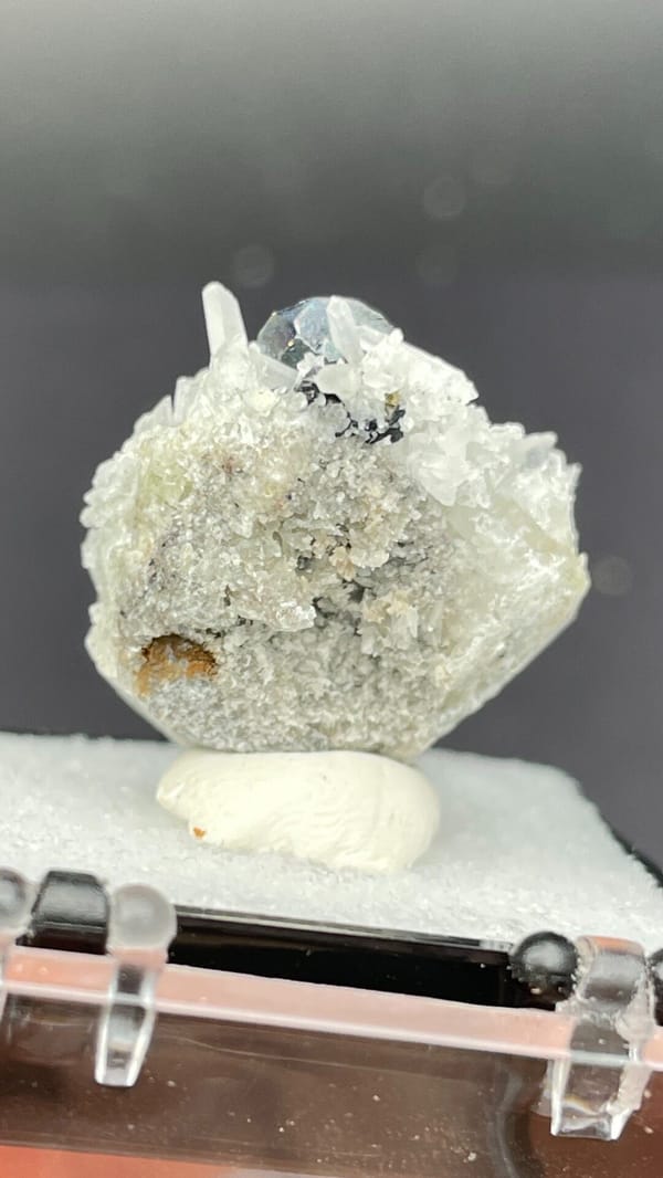 Steel-grey galena crystals with white quartz from Bulgaria, in a display box, top view