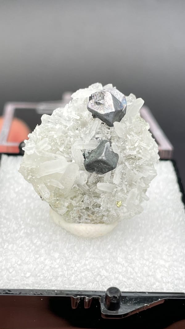 Steel-grey galena crystals with white quartz from Bulgaria, in a display box, detail of the matrix contact