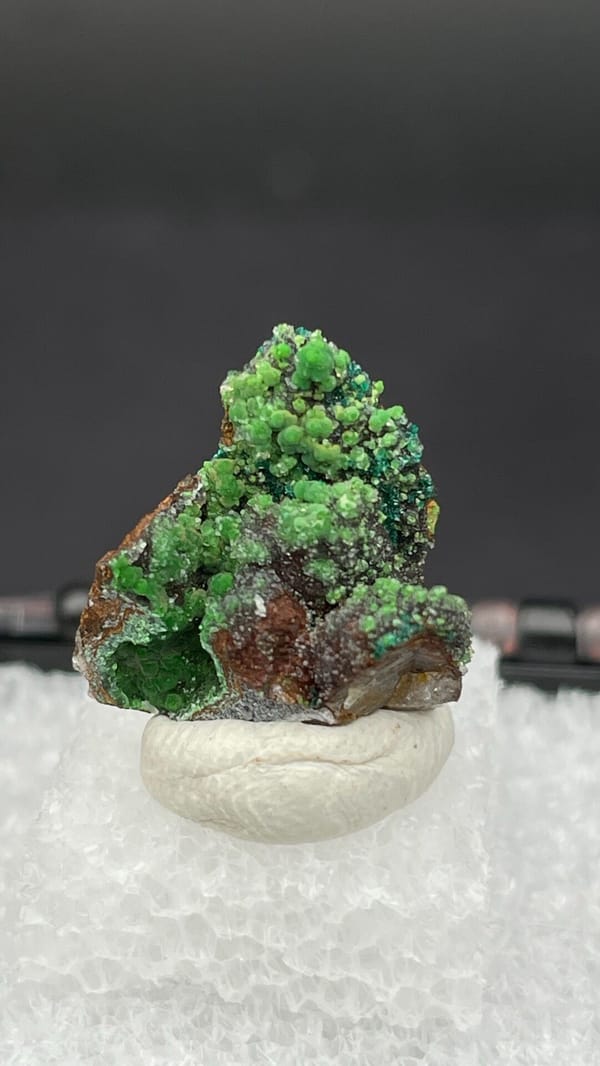 Grass-green botryoidal conichalcite on brown matrix from Morocco, in a box