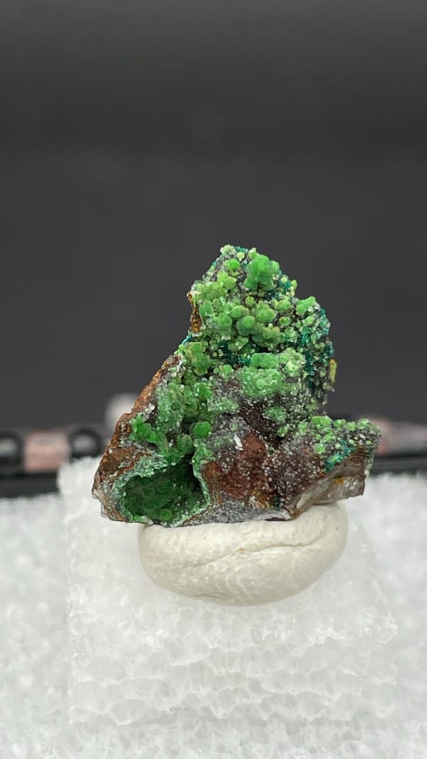 Grass-green botryoidal conichalcite on brown matrix from Morocco, in a box, second angle