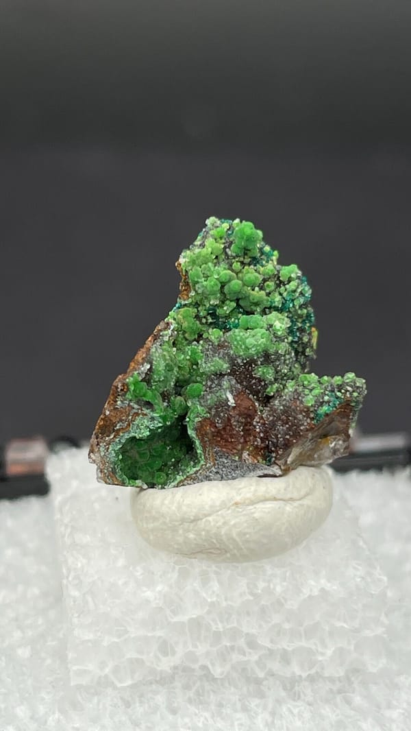 Grass-green botryoidal conichalcite on brown matrix from Morocco, in a box, close-up of the crystal faces