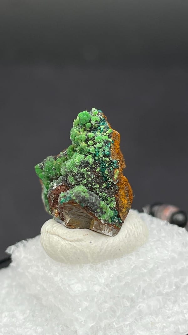 Grass-green botryoidal conichalcite on brown matrix from Morocco, in a box, reverse side