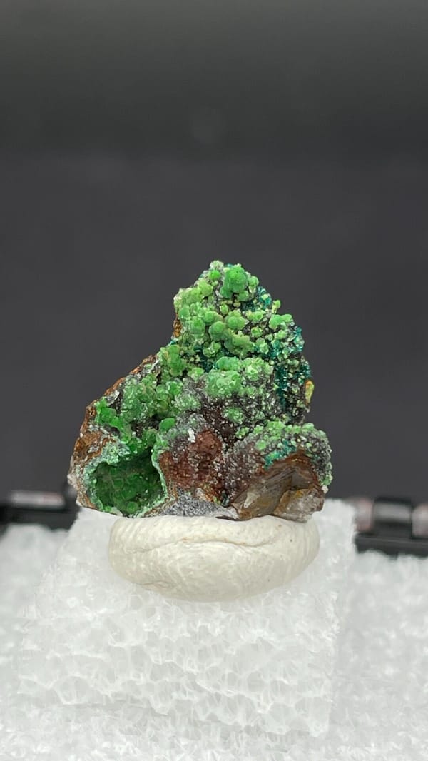Grass-green botryoidal conichalcite on brown matrix from Morocco, in a box, top view