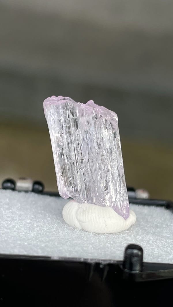 Pale pink bladed kunzite crystal from Afghanistan, mounted on white putty