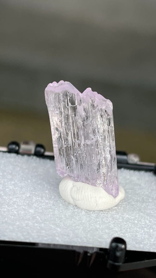 Pale pink bladed kunzite crystal from Afghanistan, mounted on white putty, second angle