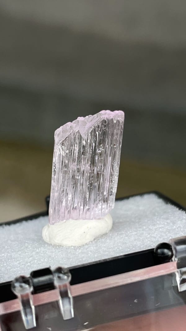 Pale pink bladed kunzite crystal from Afghanistan, mounted on white putty, reverse side