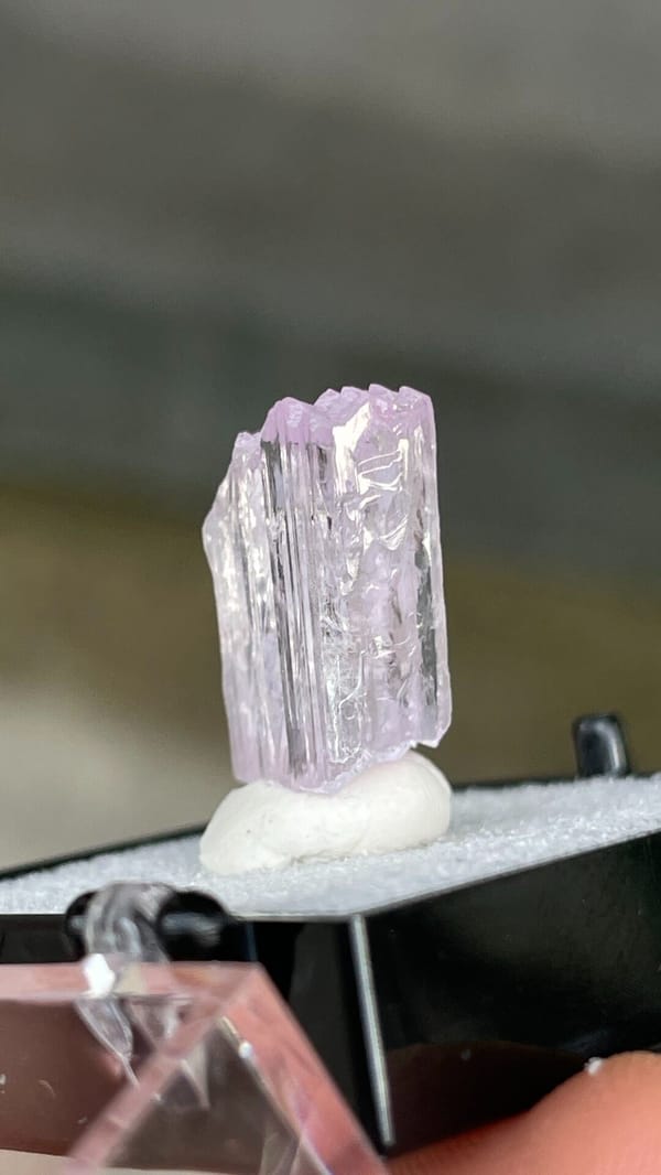 Pale pink bladed kunzite crystal from Afghanistan, mounted on white putty, top view