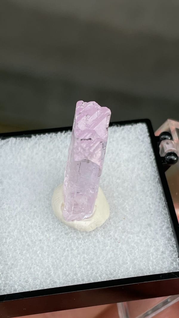 Pale pink bladed kunzite crystal from Afghanistan, mounted on white putty, detail of the matrix contact