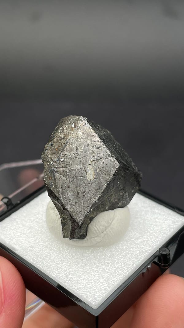 Dark steel-grey magnetite single crystal from Inner Mongolia, China, in a box, close-up of the crystal faces