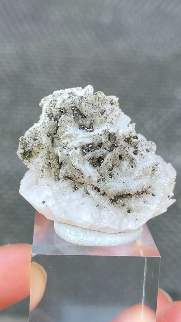 White dolomite crystal rosette with dark pyrite from Hunan, China, on a stand