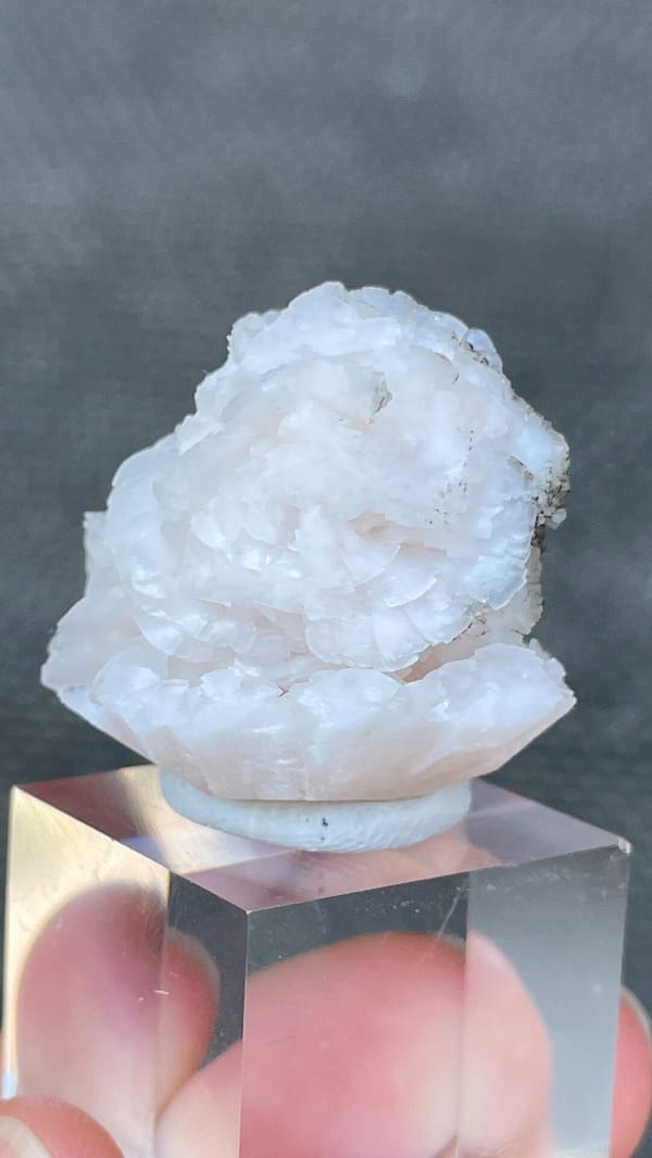 White dolomite crystal rosette with dark pyrite from Hunan, China, top view