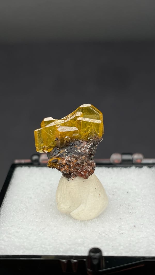 Honey-yellow tabular wulfenite crystal on dark matrix from Mexico, in a box