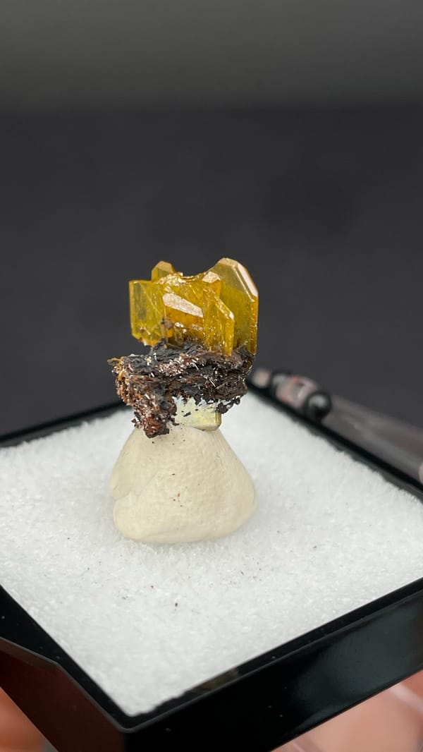 Honey-yellow tabular wulfenite crystal on dark matrix from Mexico, in a box, close-up of the crystal faces