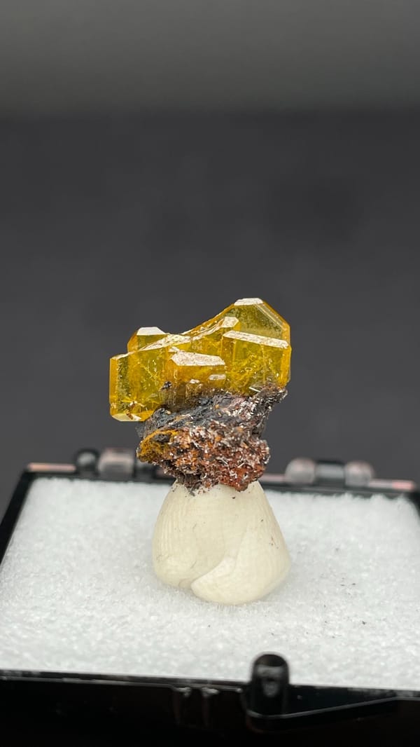 Honey-yellow tabular wulfenite crystal on dark matrix from Mexico, in a box, top view