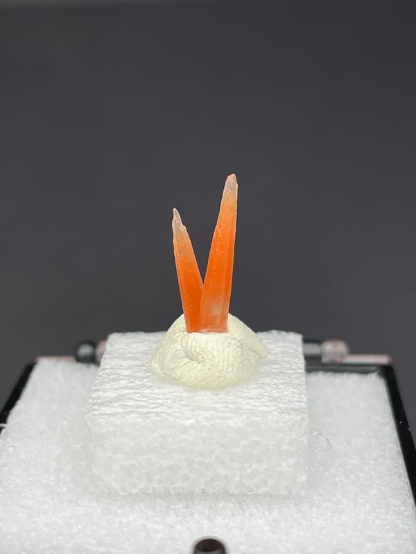 Two slim orange-red hematoid quartz points from Guangdong, China, on a mount