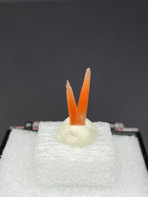 Two slim orange-red hematoid quartz points from Guangdong, China, on a mount, top view