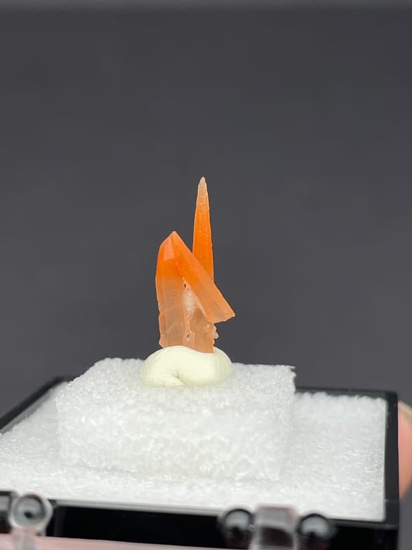 Slim orange-red hematoid quartz point from Guangdong, China, in a display box, top view