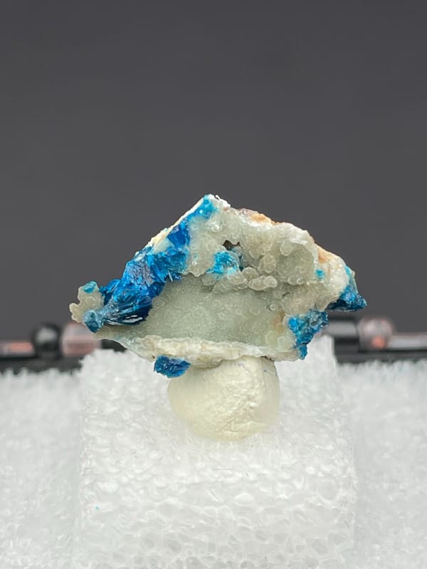 Vivid blue veszelyite on a pale green-white crust from Yunnan, China, in a box
