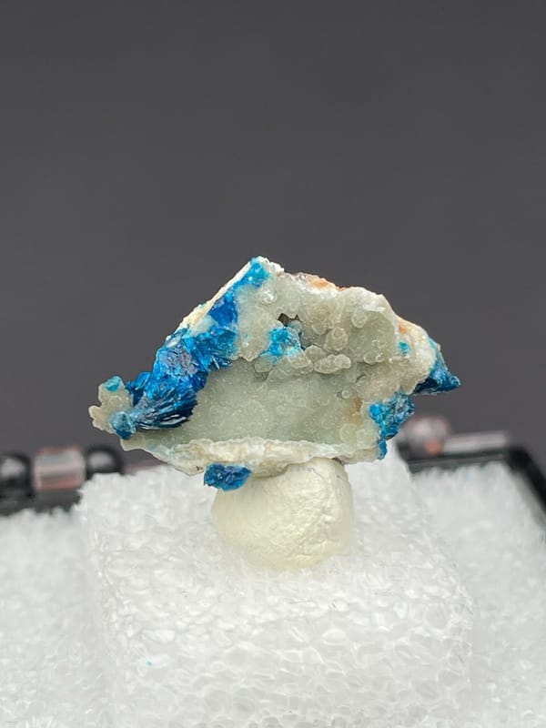 Vivid blue veszelyite on a pale green-white crust from Yunnan, China, in a box, second angle