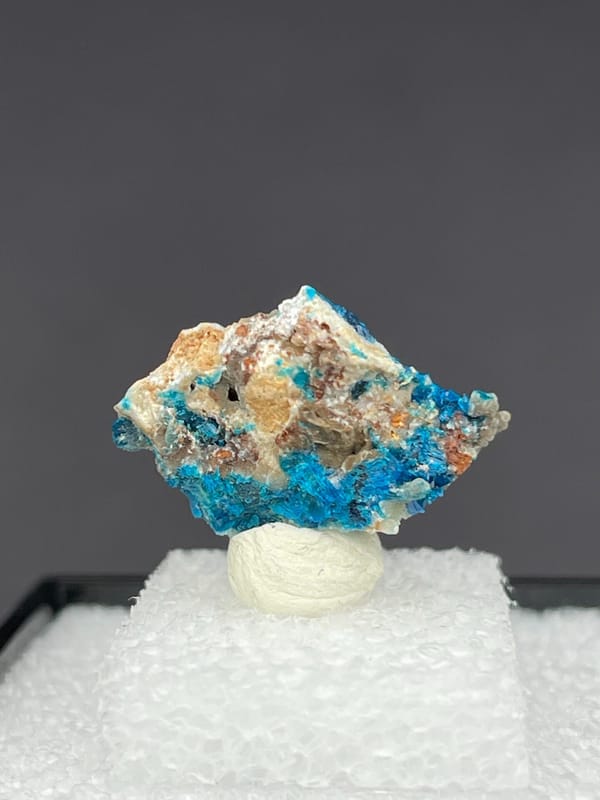Vivid blue veszelyite on a pale green-white crust from Yunnan, China, in a box, reverse side