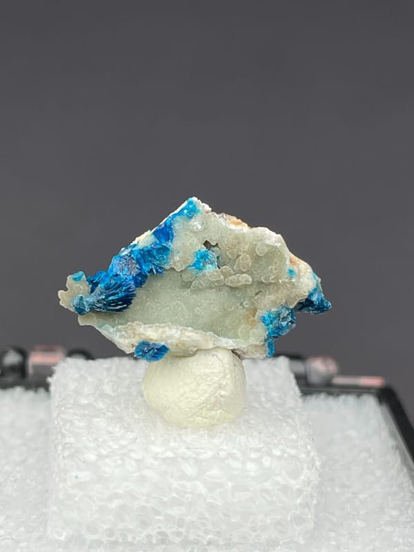 Vivid blue veszelyite on a pale green-white crust from Yunnan, China, in a box, top view
