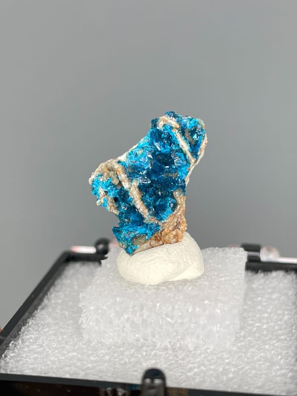 Blue veszelyite crust crossed by a pale vein, Yunnan, China, in a display box, close-up of the crystal faces