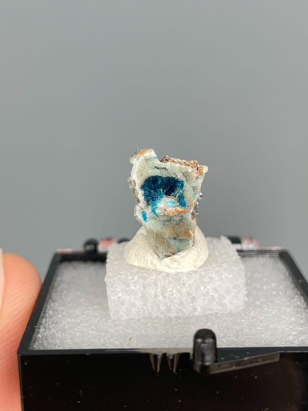 Small deep blue veszelyite crust on pale rock from Yunnan, China, in a box