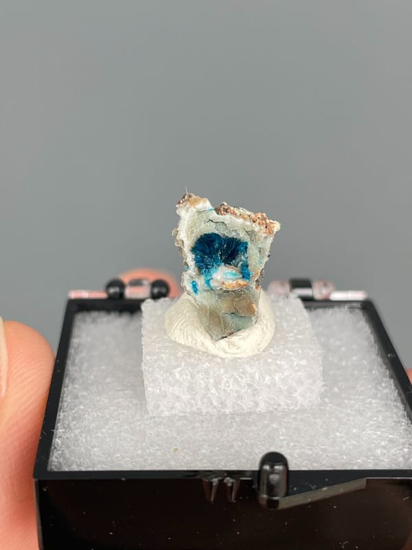 Small deep blue veszelyite crust on pale rock from Yunnan, China, in a box, second angle