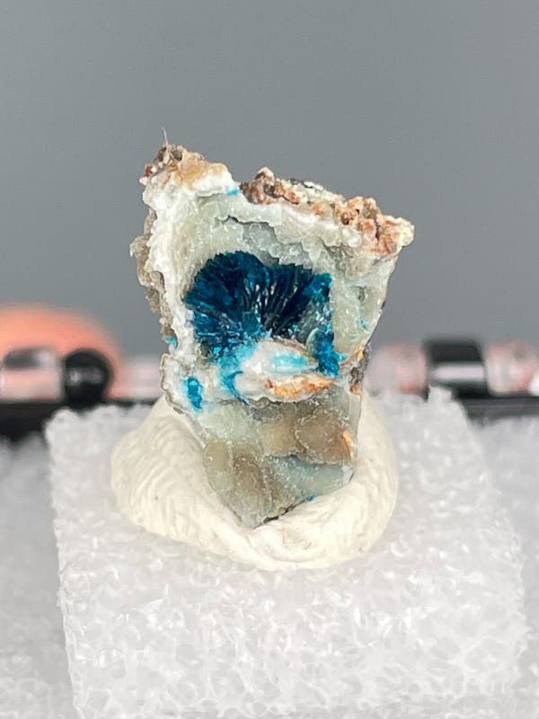 Small deep blue veszelyite crust on pale rock from Yunnan, China, in a box, close-up of the crystal faces