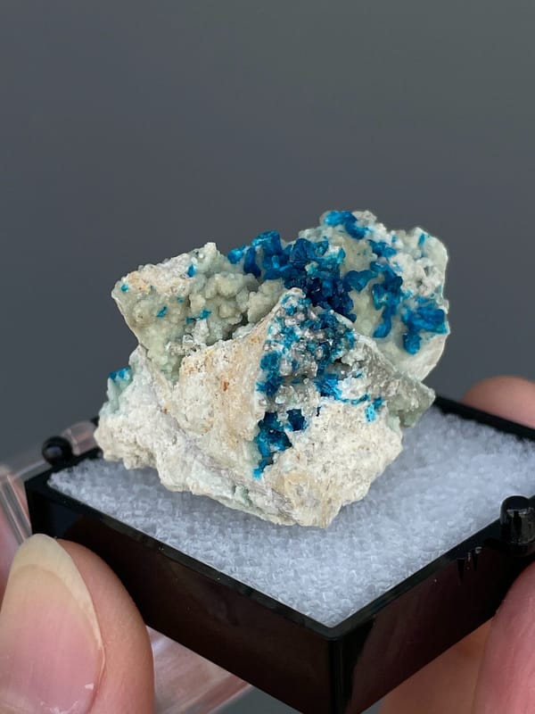 Deep blue veszelyite tufts on pale matrix from Yunnan, China, in a display box, second angle