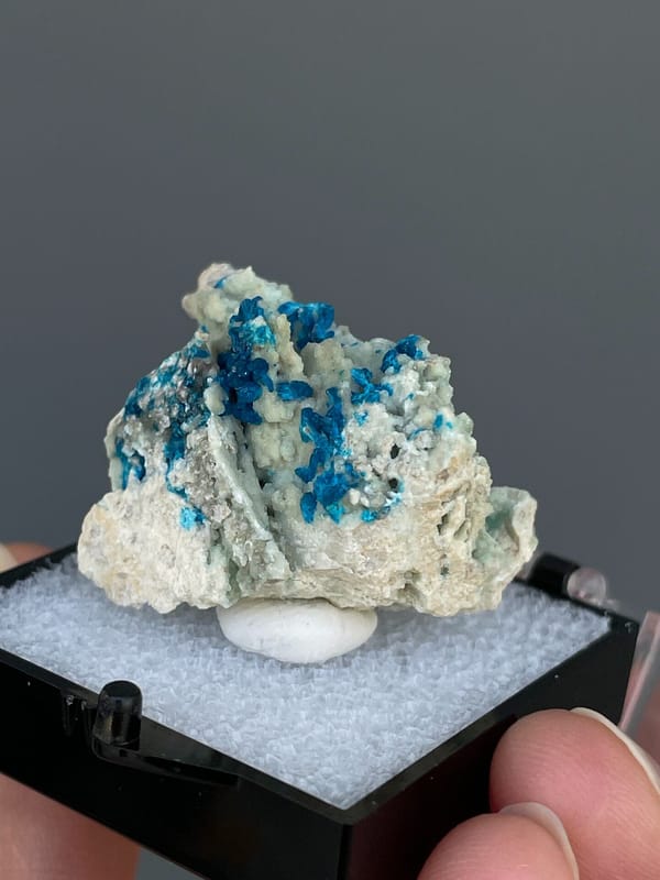 Deep blue veszelyite tufts on pale matrix from Yunnan, China, in a display box, close-up of the crystal faces